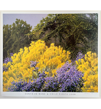2008 Wilson Hurley "October in Santa Fe"