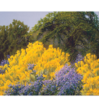 2008 Wilson Hurley "October in Santa Fe"